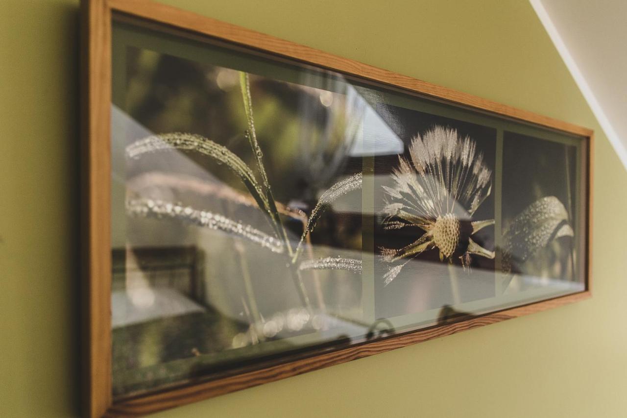 Stajnia Sarnowek Nad Jeziorem Rozany Rozajny Wielkie Kamer foto
