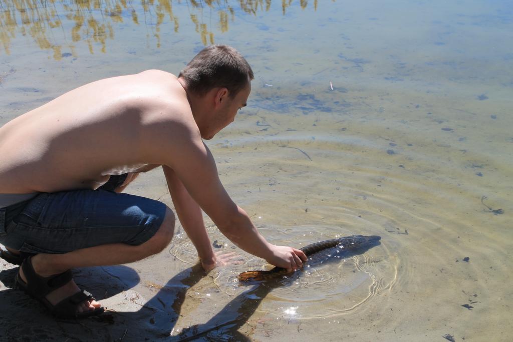 Stajnia Sarnowek Nad Jeziorem Rozany Rozajny Wielkie Buitenkant foto
