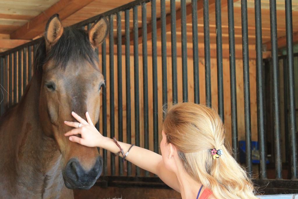 Stajnia Sarnowek Nad Jeziorem Rozany Rozajny Wielkie Buitenkant foto