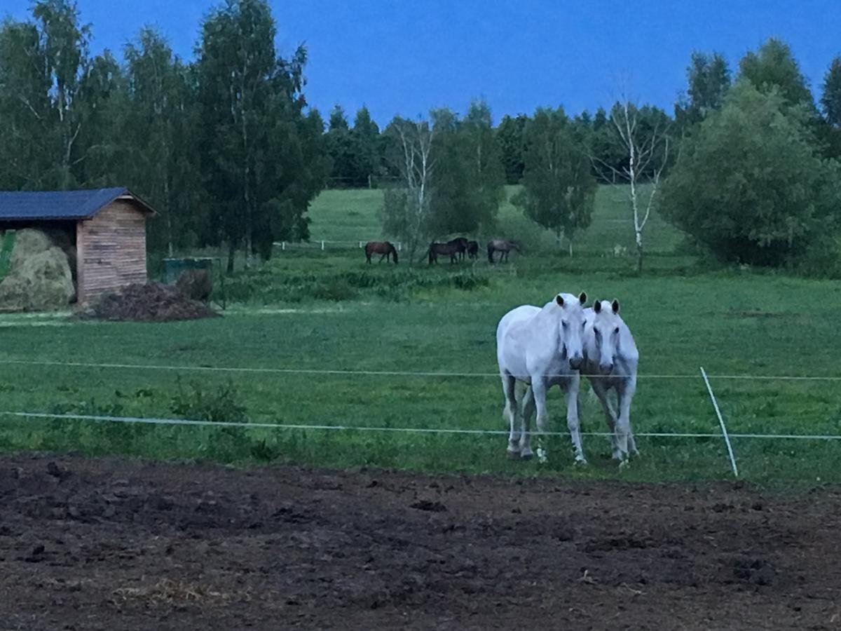 Stajnia Sarnowek Nad Jeziorem Rozany Rozajny Wielkie Buitenkant foto