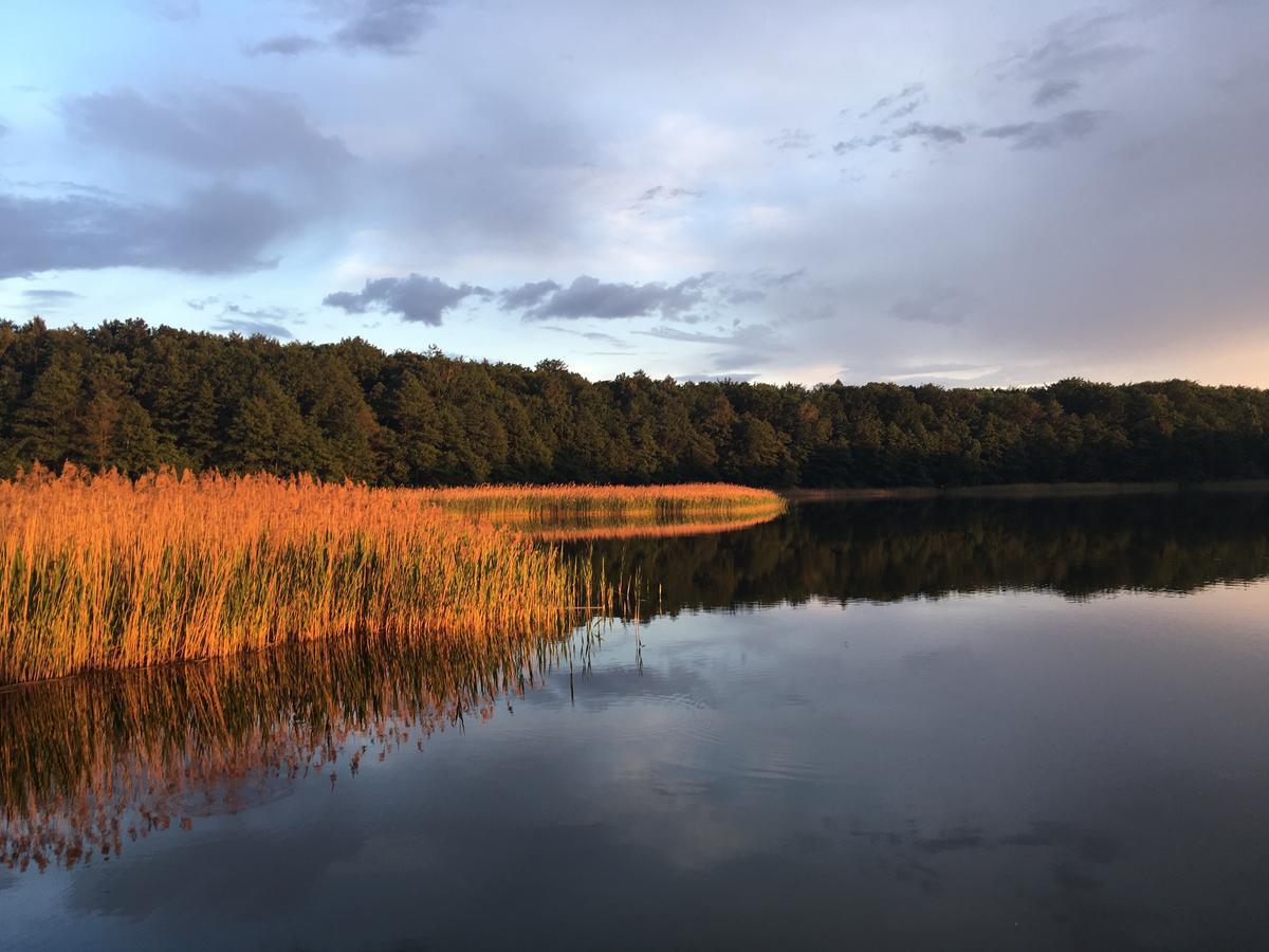 Stajnia Sarnowek Nad Jeziorem Rozany Rozajny Wielkie Buitenkant foto